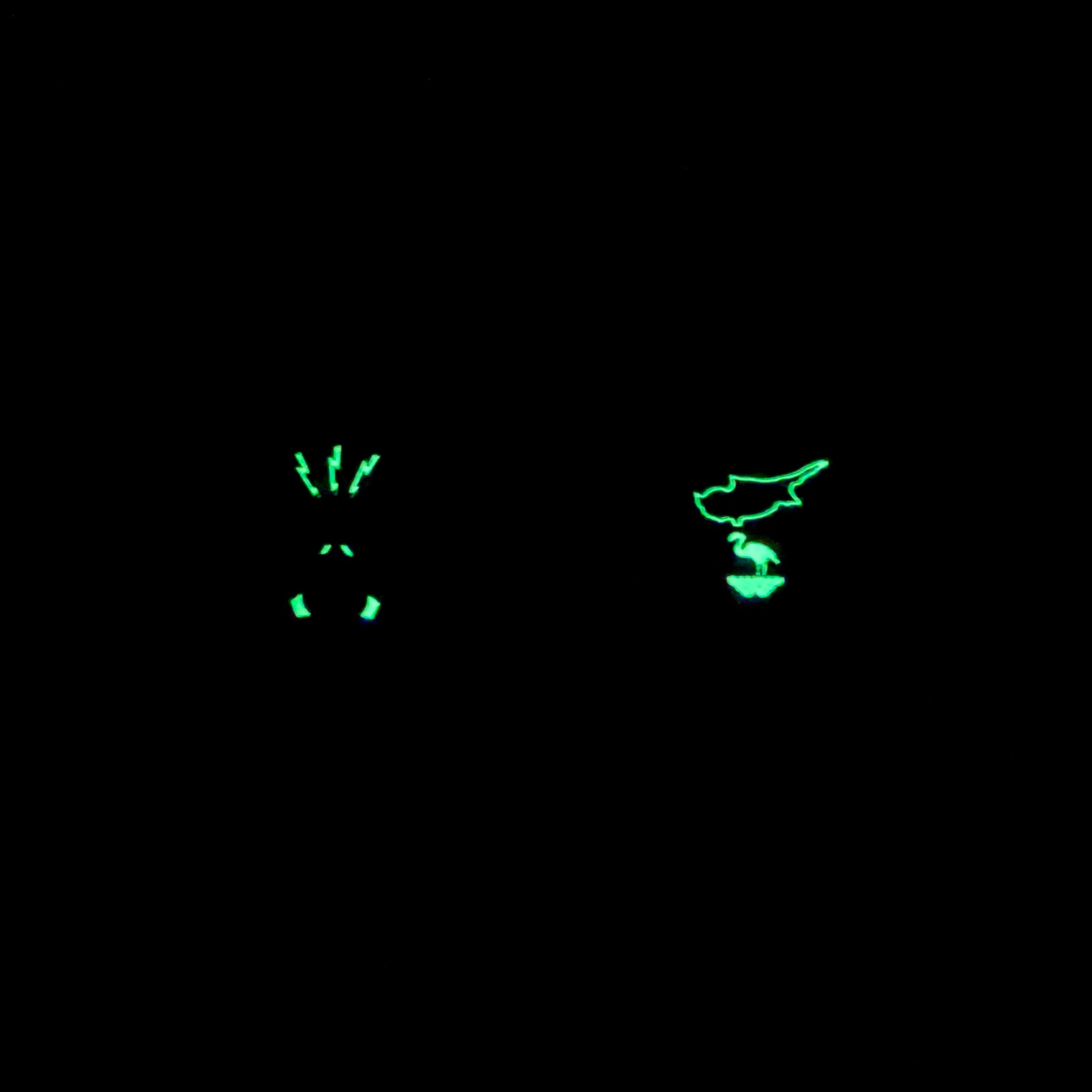 LUMINOUS - Collectors Challenge Coin