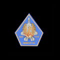 809 NAS Spearhead